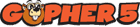 Minnesota: Gopher 5